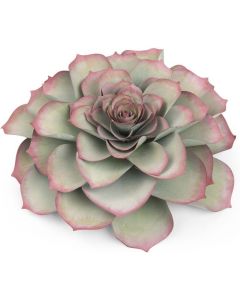 Fustella Sizzix Framelits "Pianta grassa grande" - 662398
