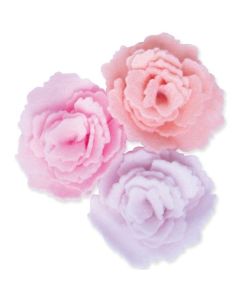 Fustella Sizzix Bigz "Rosa centifolia" - 665824