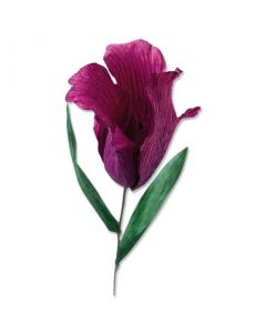 Fustella Sizzix Thinlits "Tulipano sfrangiato" - 664922